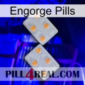 Engorge Pills 25